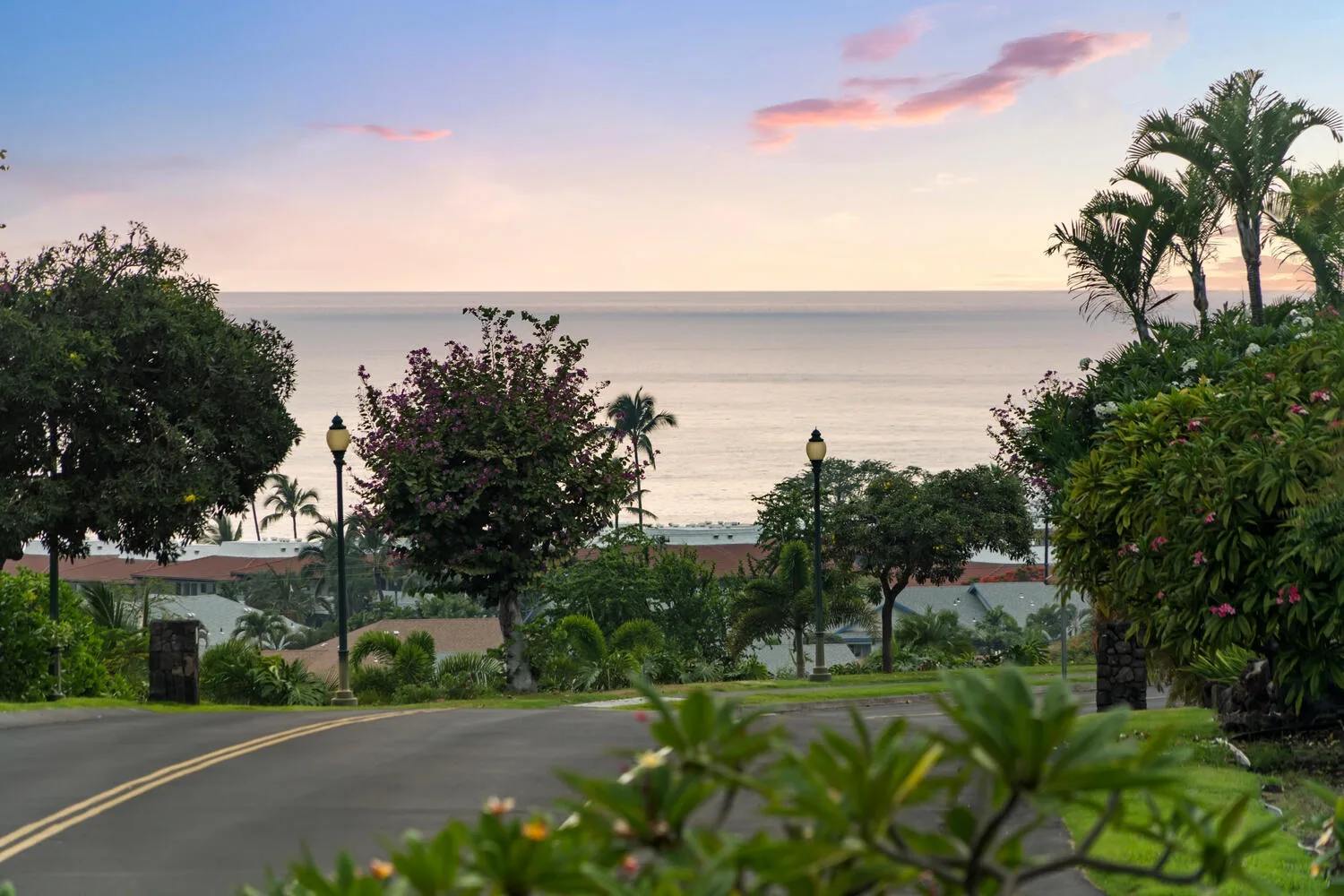 A landscaped road leads toward the ocean at sunset.