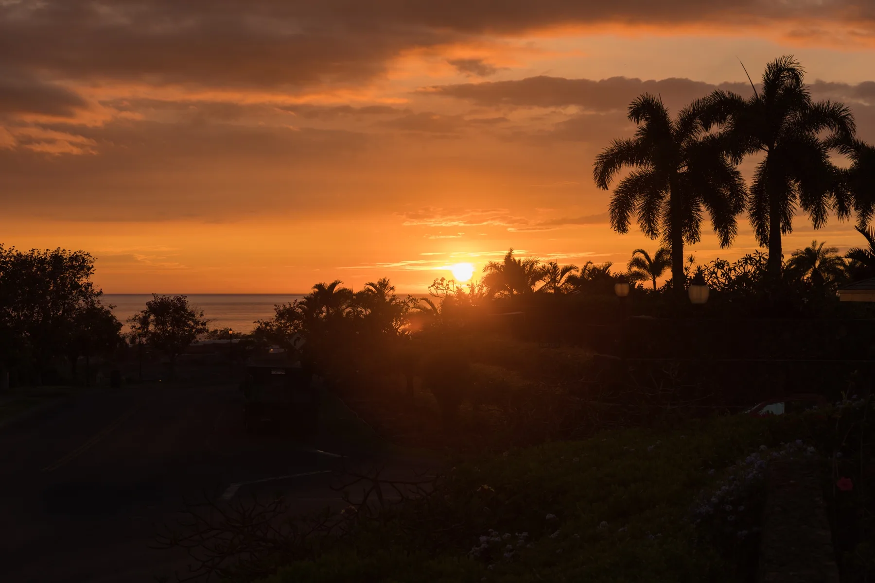 A sunset glows over the horizon behind silhouetted palm trees.