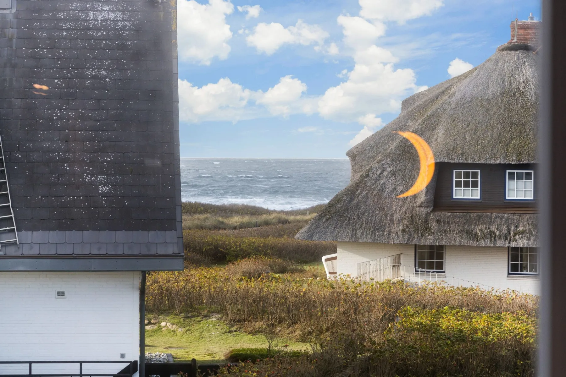 A thatched seaside house stands beside a garden overlooking the ocean.