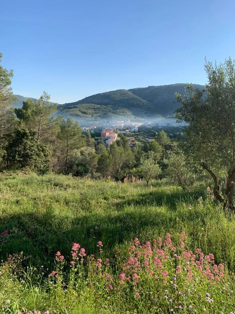 Casa Pilar rural hotel