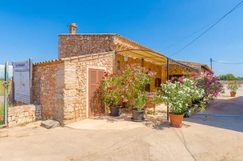 Un edificio de piedra con un patio sombreado y plantas con flores en macetas.
