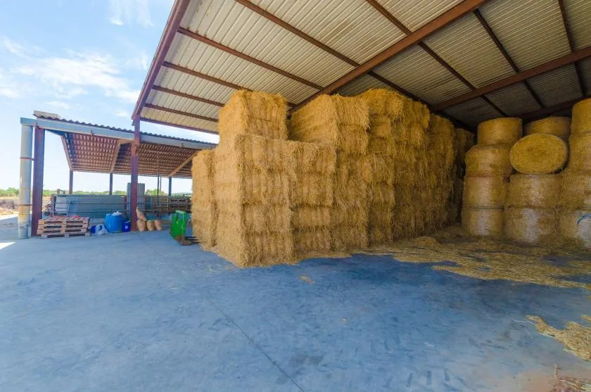 Un cobertizo agrícola abierto almacena pilas de fardos de heno.