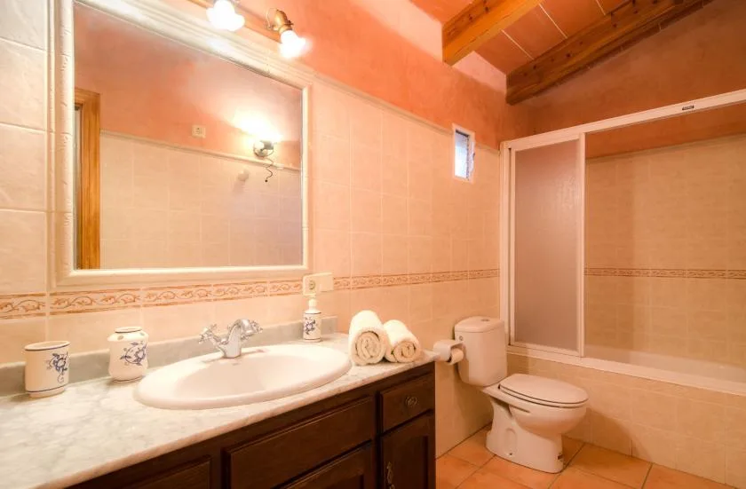 Un baño con lavabo, espejo, inodoro y ducha.