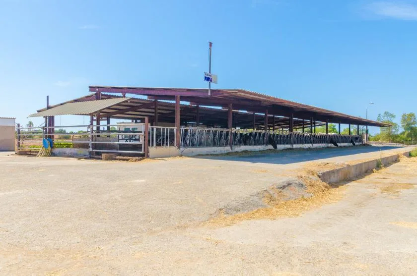 Un cobertizo agrícola abierto se encuentra junto a un amplio patio pavimentado.