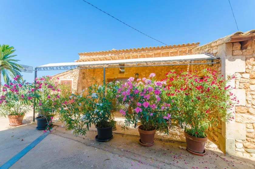Un patio soleado de piedra con plantas floridas en macetas junto a una terraza sombreada.
