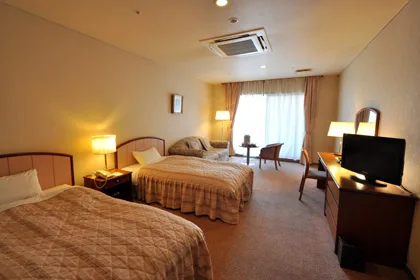 Example of a north-wing Western-style twin room