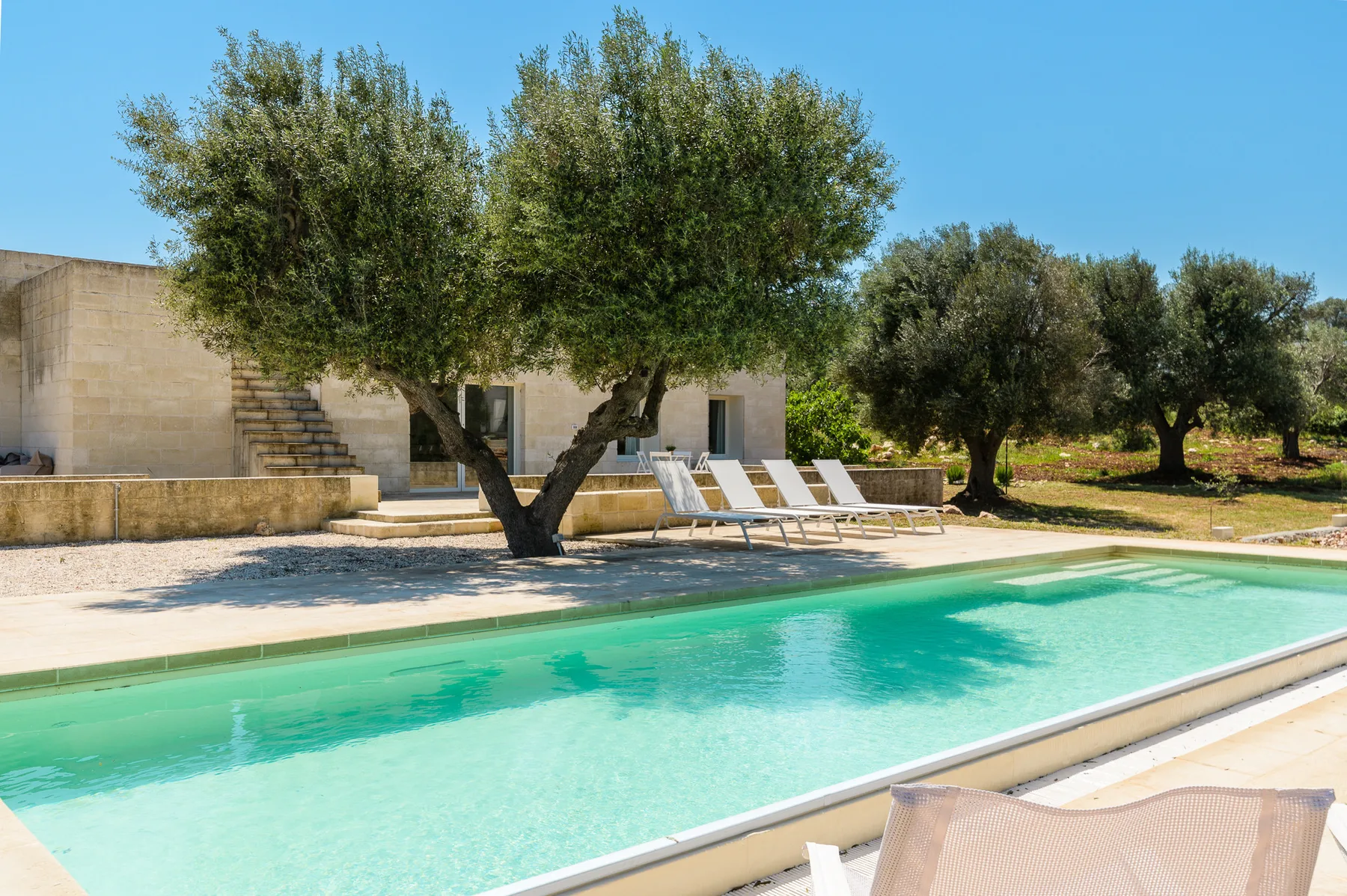 A swimming pool bordered by trees and outdoor lounge seating.