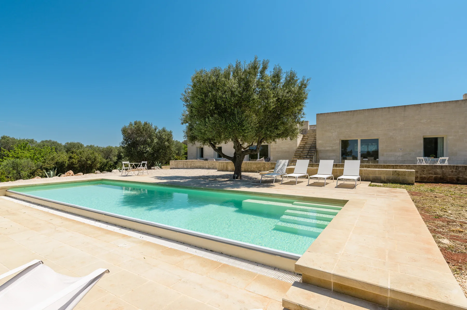 A swimming pool with pale stone decking sits beside a modern building and leafy tree.