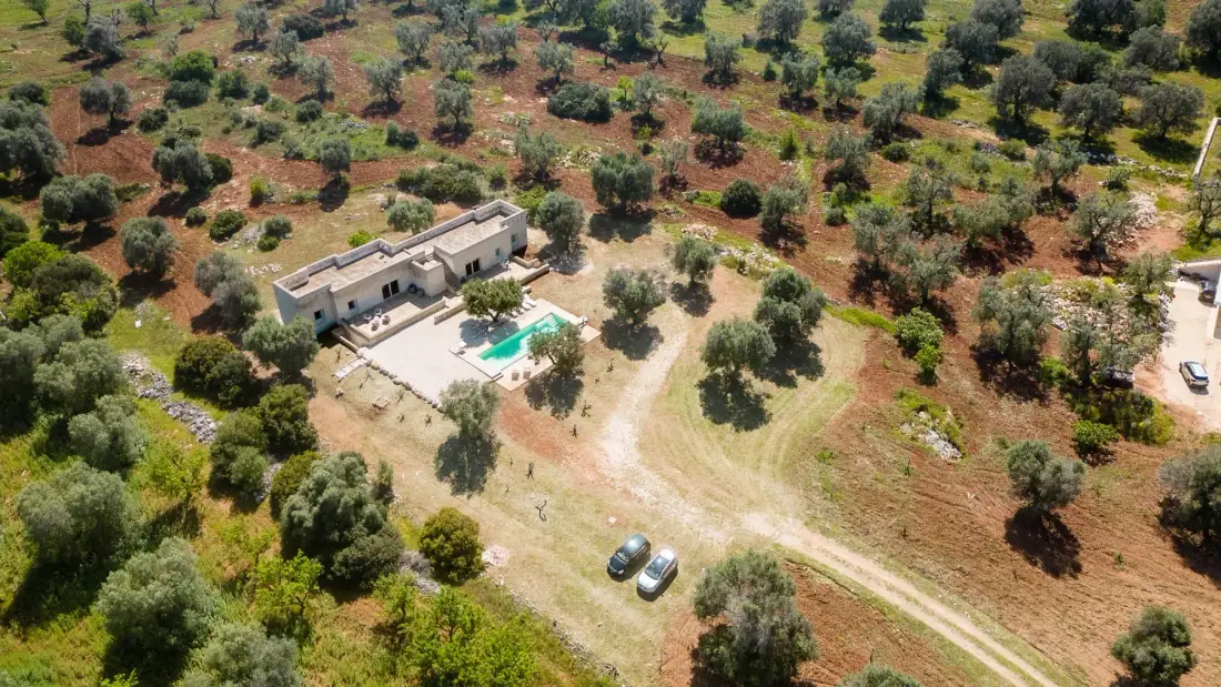 An aerial view of a house and swimming pool amid scattered trees.