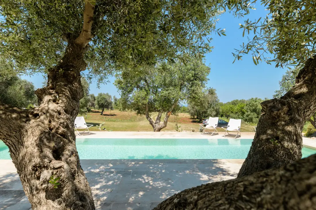 An outdoor swimming pool with lounge chairs sits among trees in a sunny landscape.