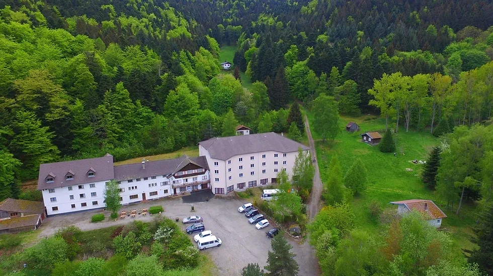 Domaine Langmatt from above