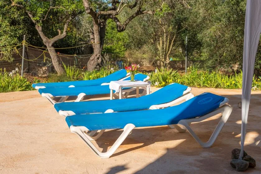 Zona de descanso al aire libre con tumbonas azules junto a árboles y plantas.