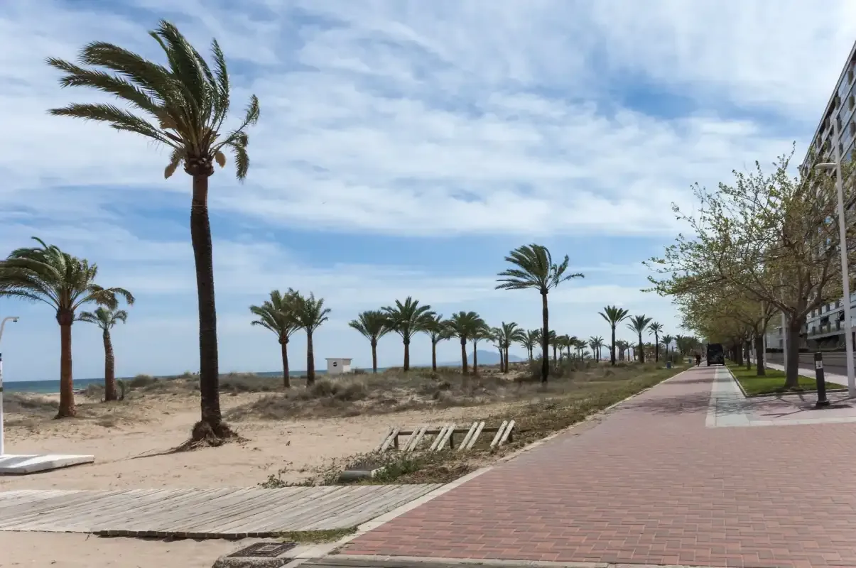A seaside promenade runs beside a sandy beach lined with palm trees.