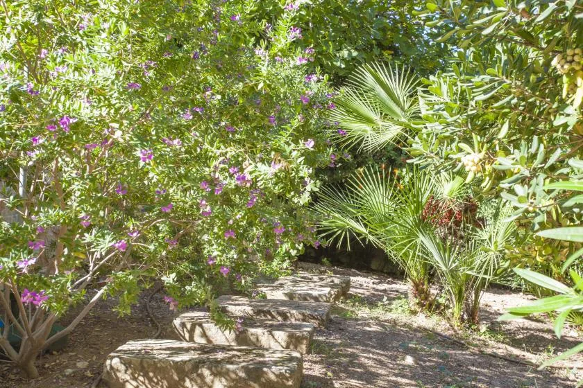 A leafy garden path winds between flowering shrubs and palm-like plants.