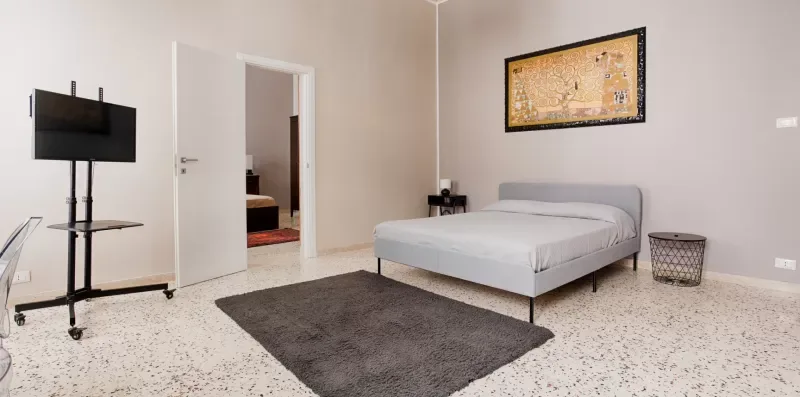 A bedroom with a bed, a rug, and a television on a stand.
