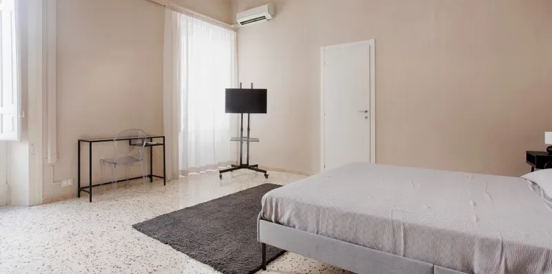 A bright bedroom with a bed, a television, and a rug.