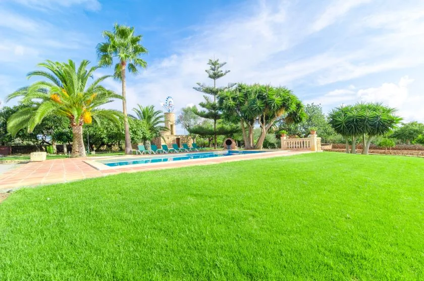 Una piscina al aire libre bordea un amplio césped verde, con palmeras cerca.