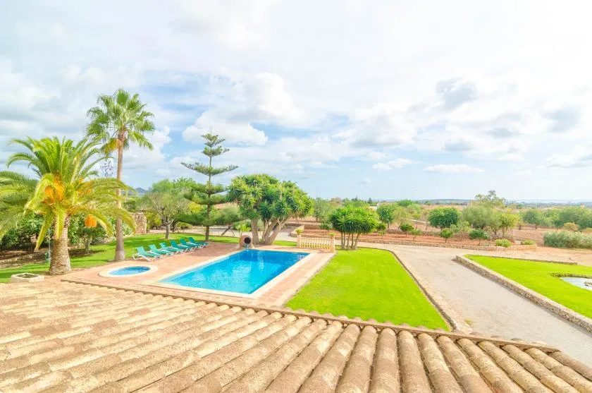 Una piscina al aire libre junto a césped, palmeras y caminos pavimentados.