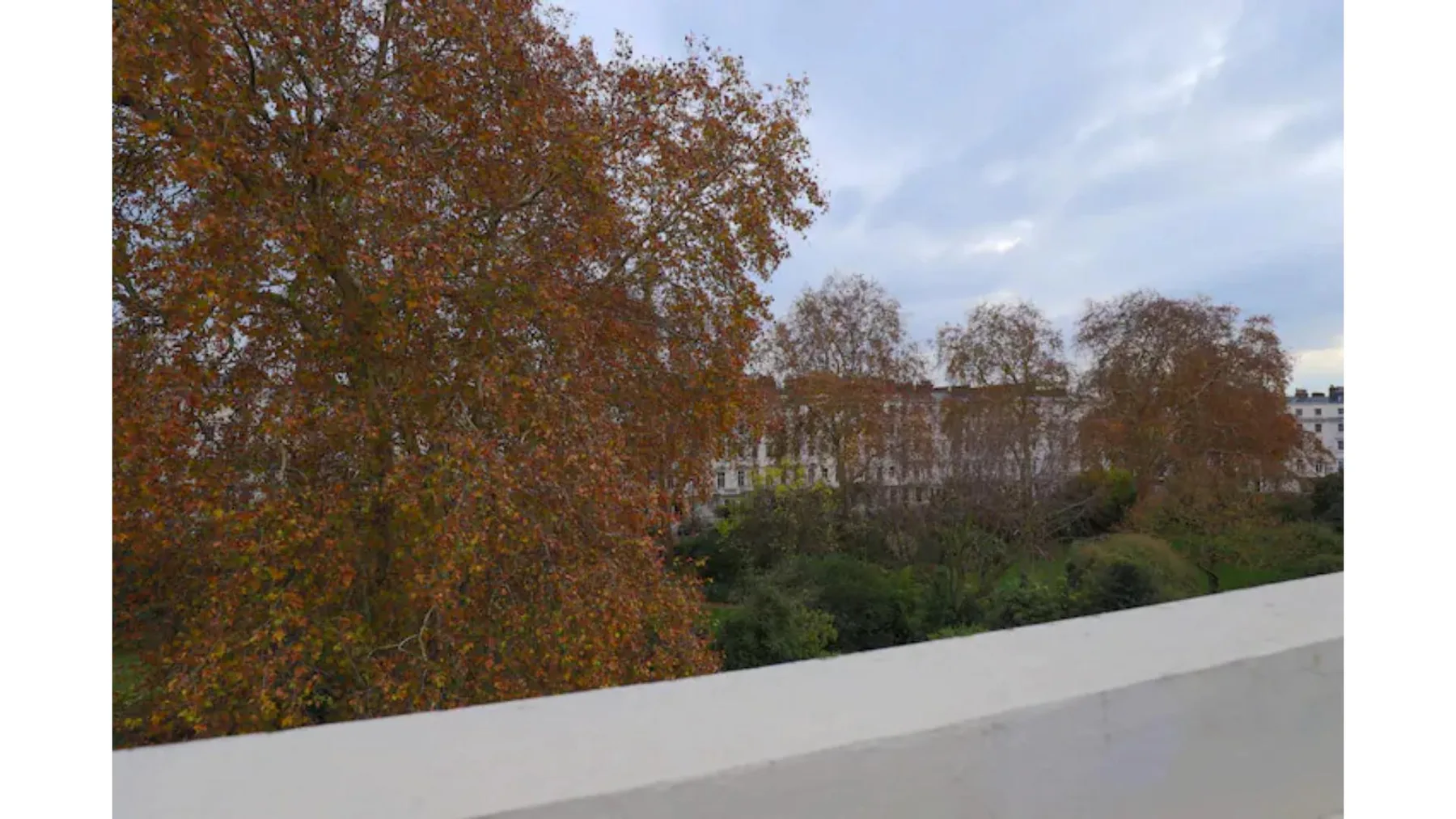 An outdoor view of autumn trees and greenery beyond a white railing.