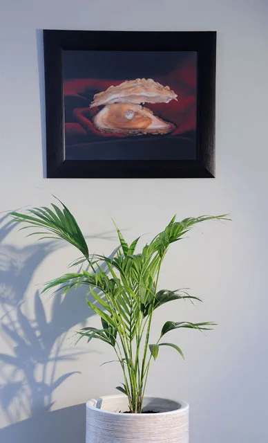 Oyster Box gallery image