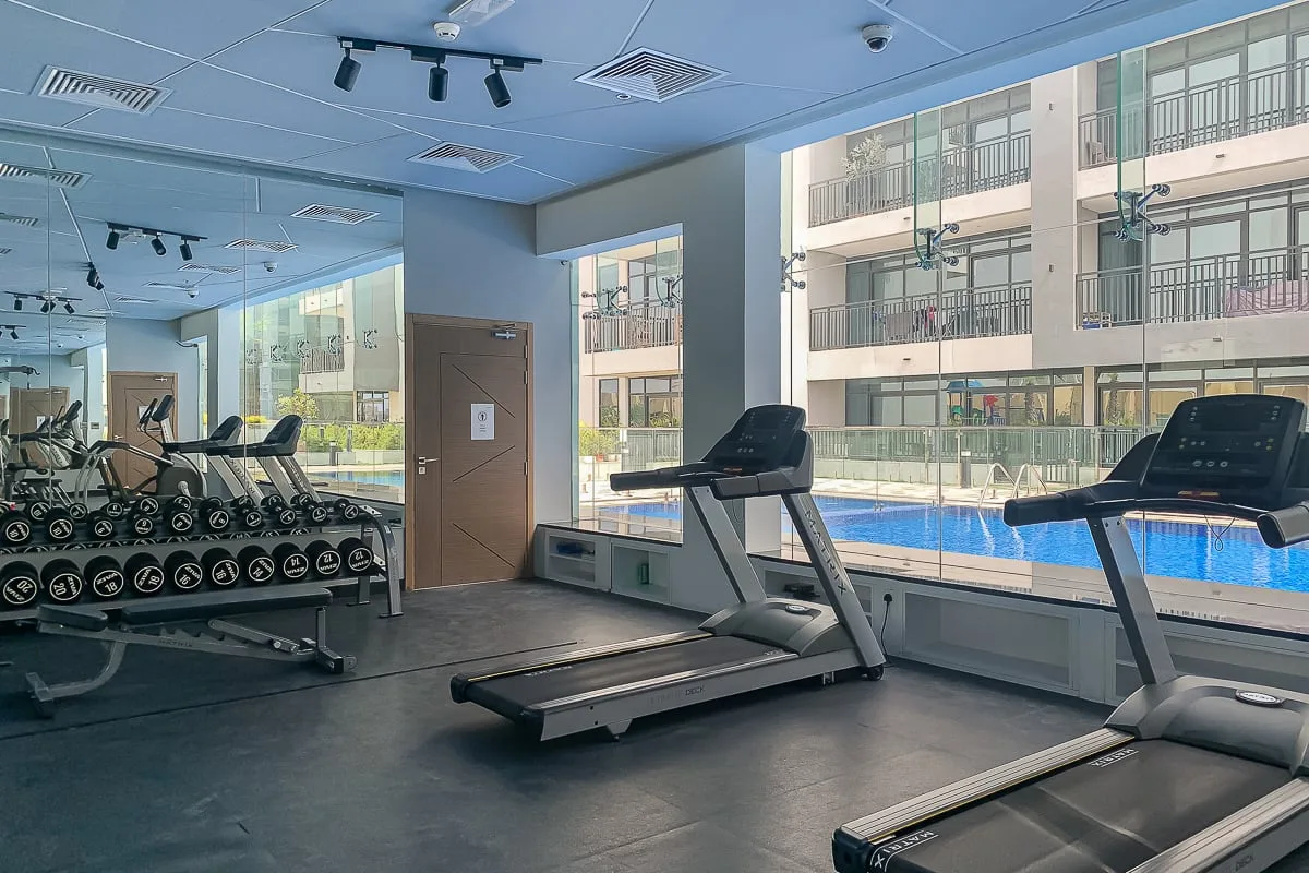 Un gimnasio con cintas de correr y pesas junto a grandes ventanales.