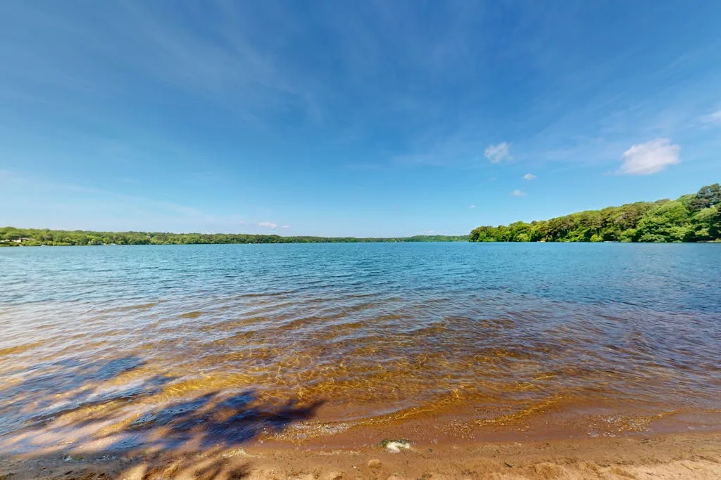 La orilla de un lago, con agua poco profunda y ondulada, y vegetación en las riberas.