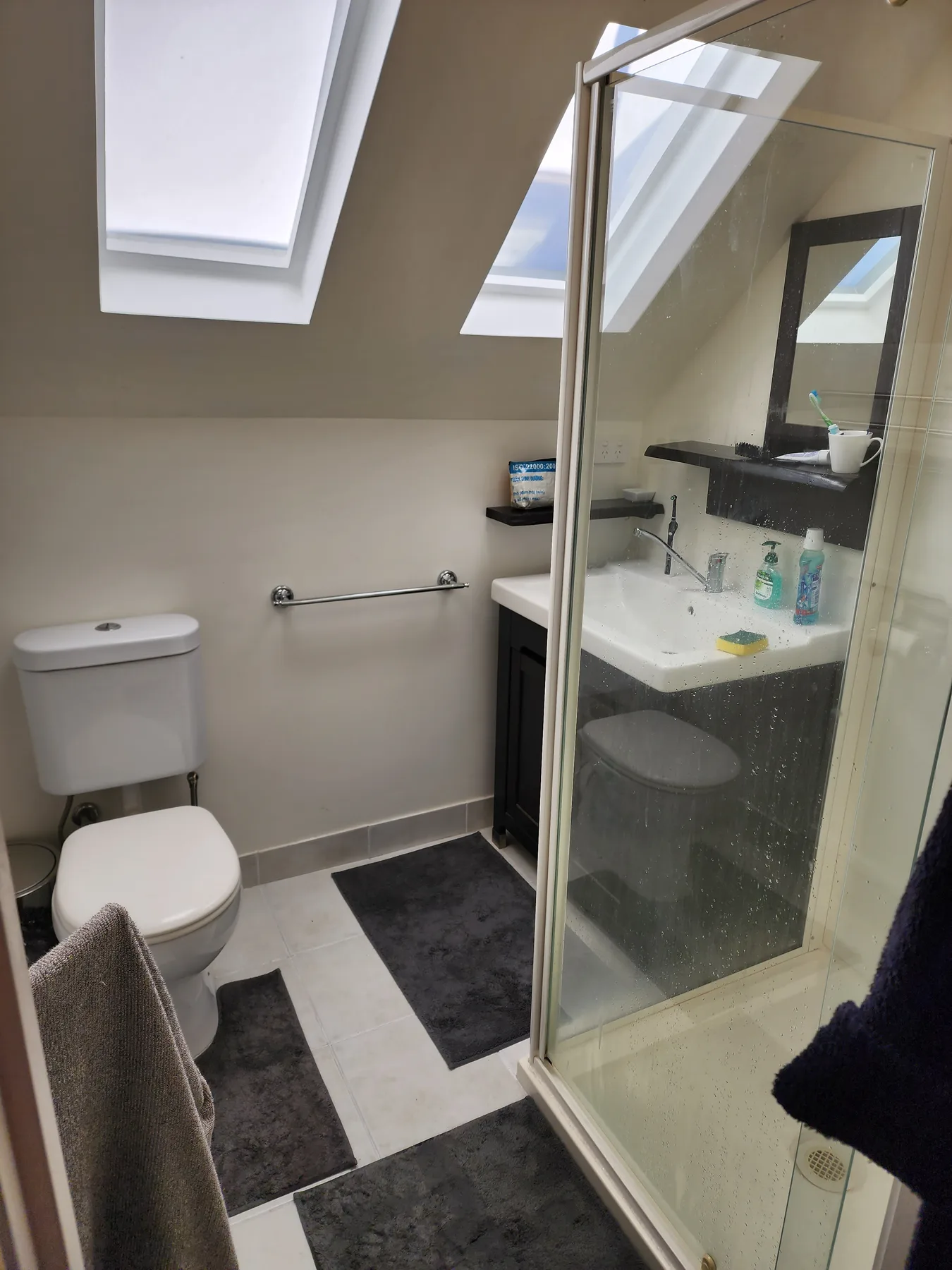A bathroom with a glass shower, toilet, and sink beneath skylights.
