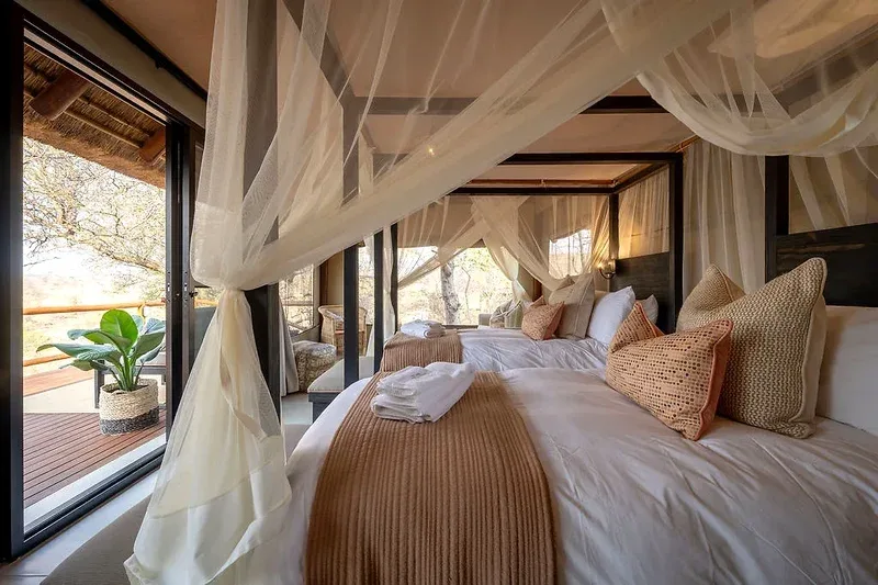 Safari camp and wildlife