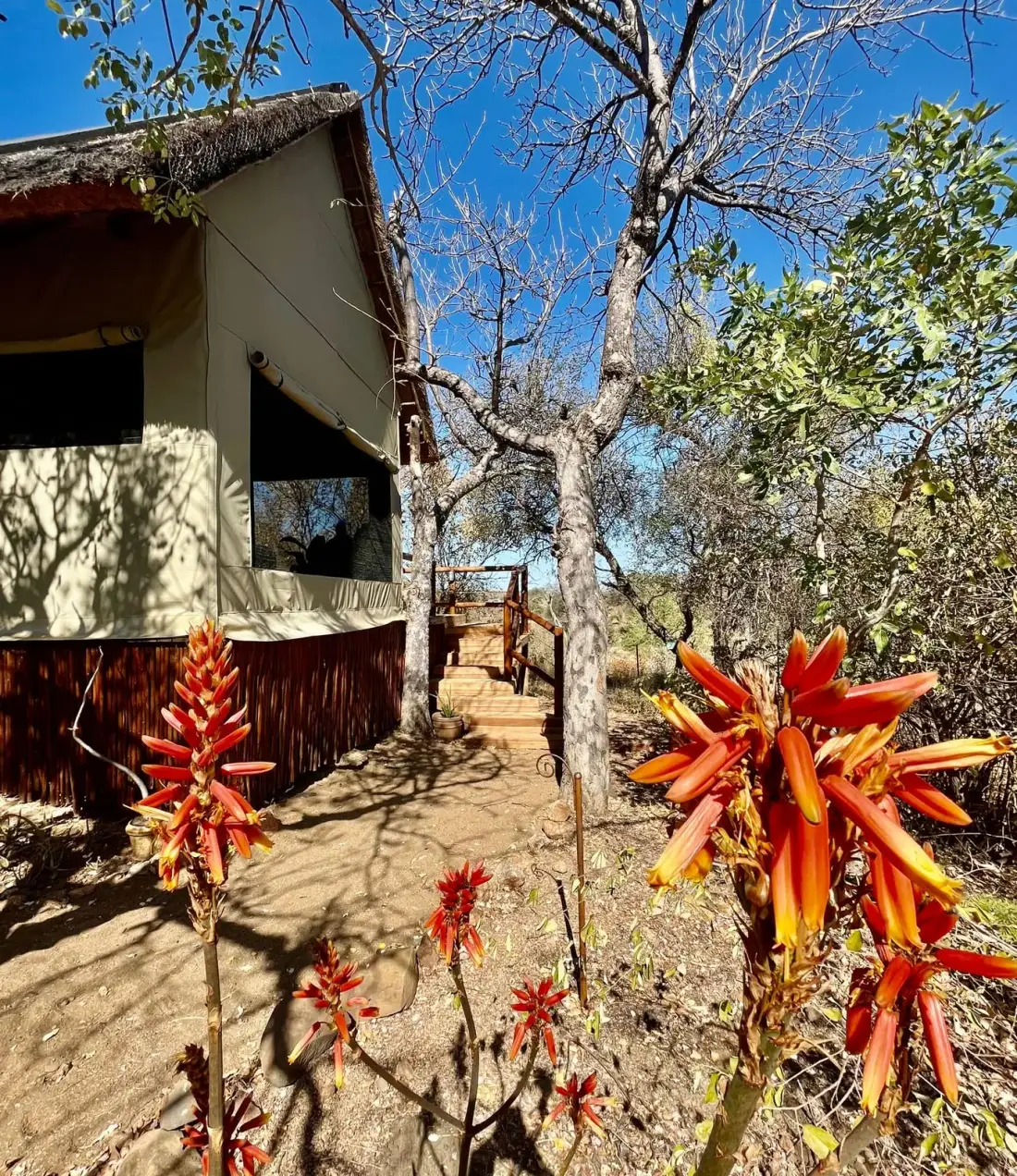 Safari tent exterior entrance
