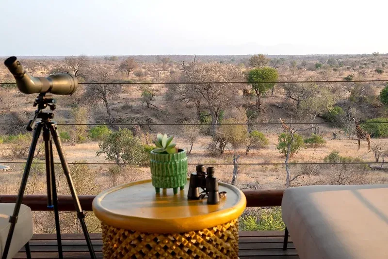 Viewing deck overlooking the reserve