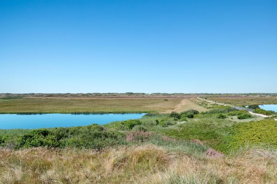 A marshland landscape with a blue water channel winding through green vegetation.