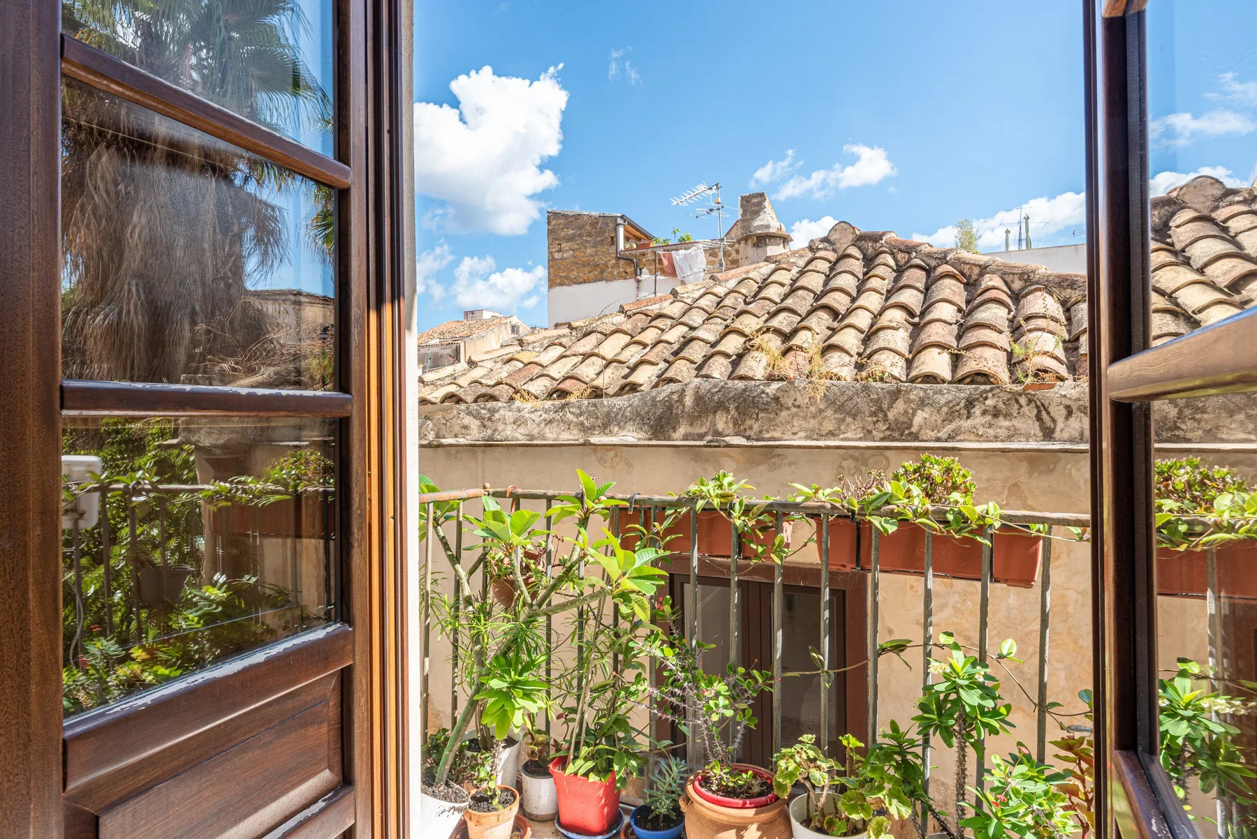 A sunny balcony with potted plants overlooks terracotta rooftops.