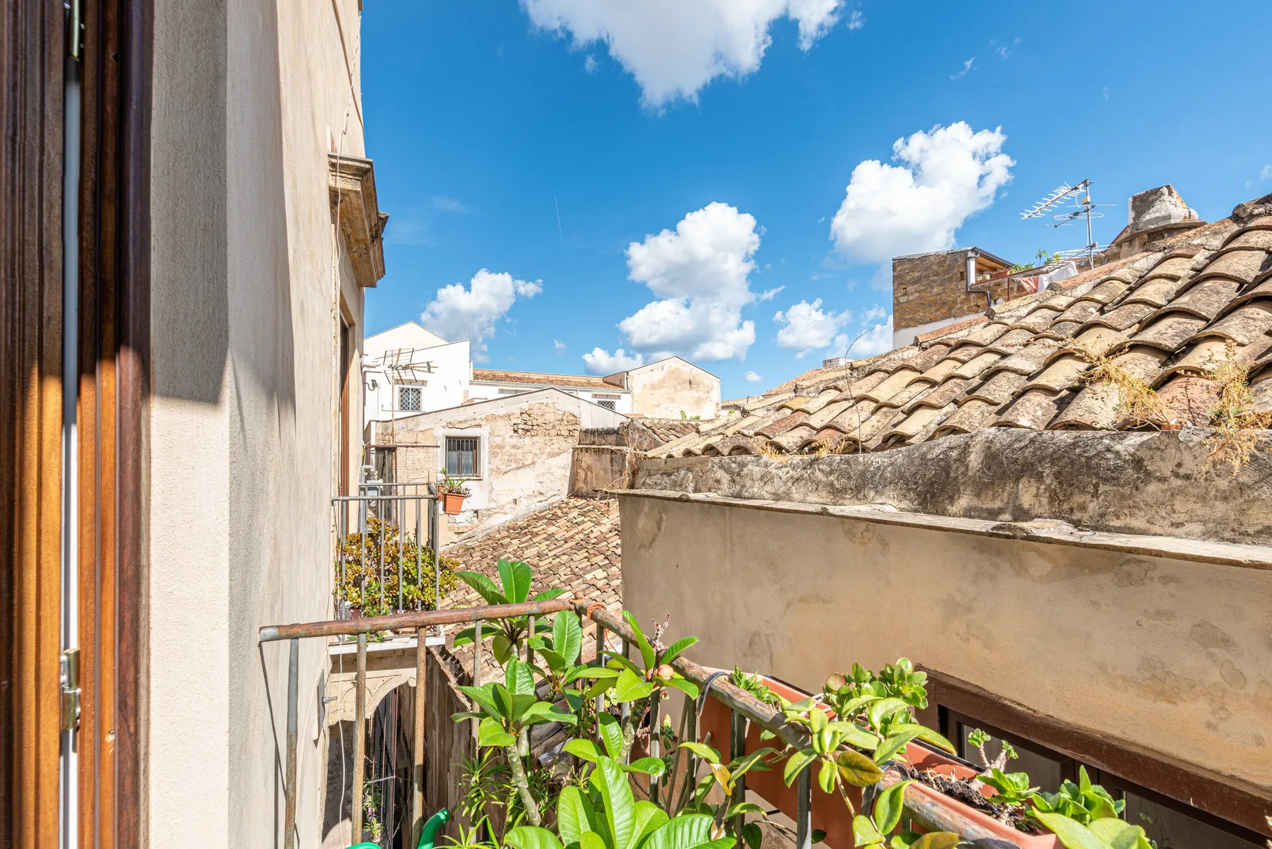 A small balcony with potted greenery overlooks nearby rooftops beneath a bright sky.