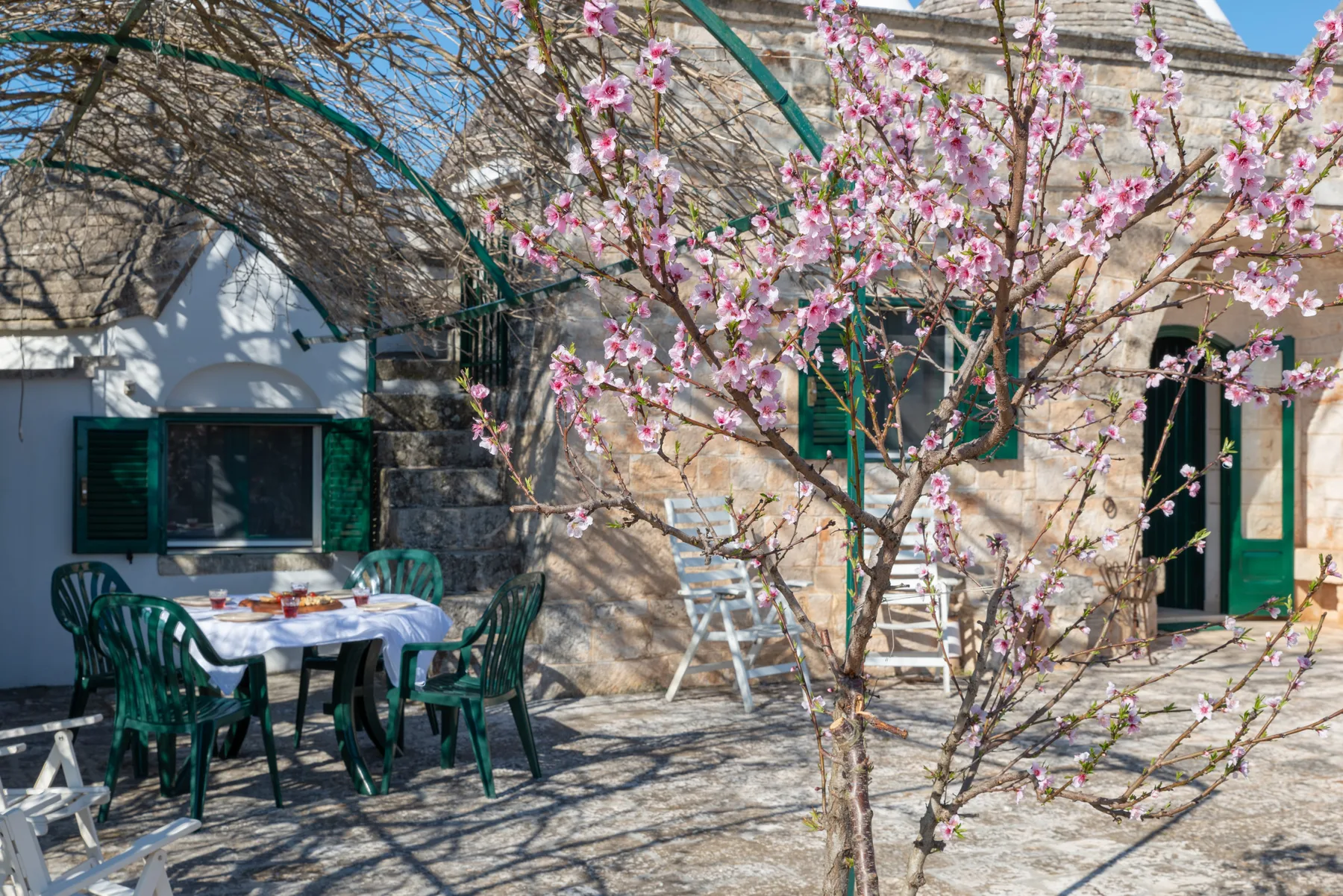 Una zona de comedor al aire libre junto a un edificio de piedra, bajo ramas en flor.
