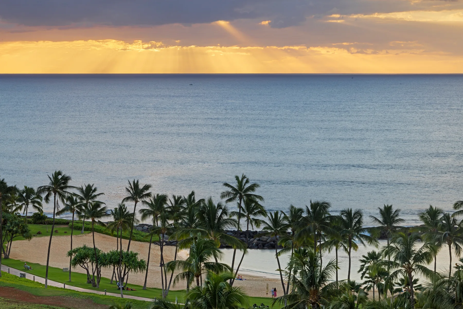 Una playa costera bordeada de palmeras bajo el cielo del atardecer.
