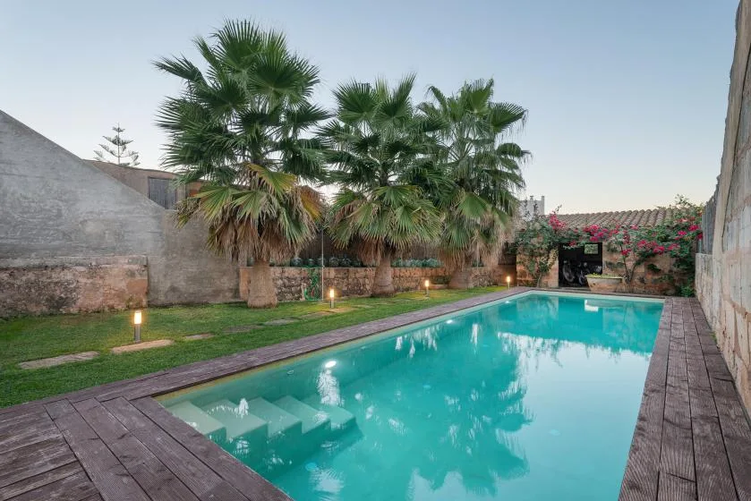 Una piscina rectangular está bordeada por palmeras y caminos pavimentados.