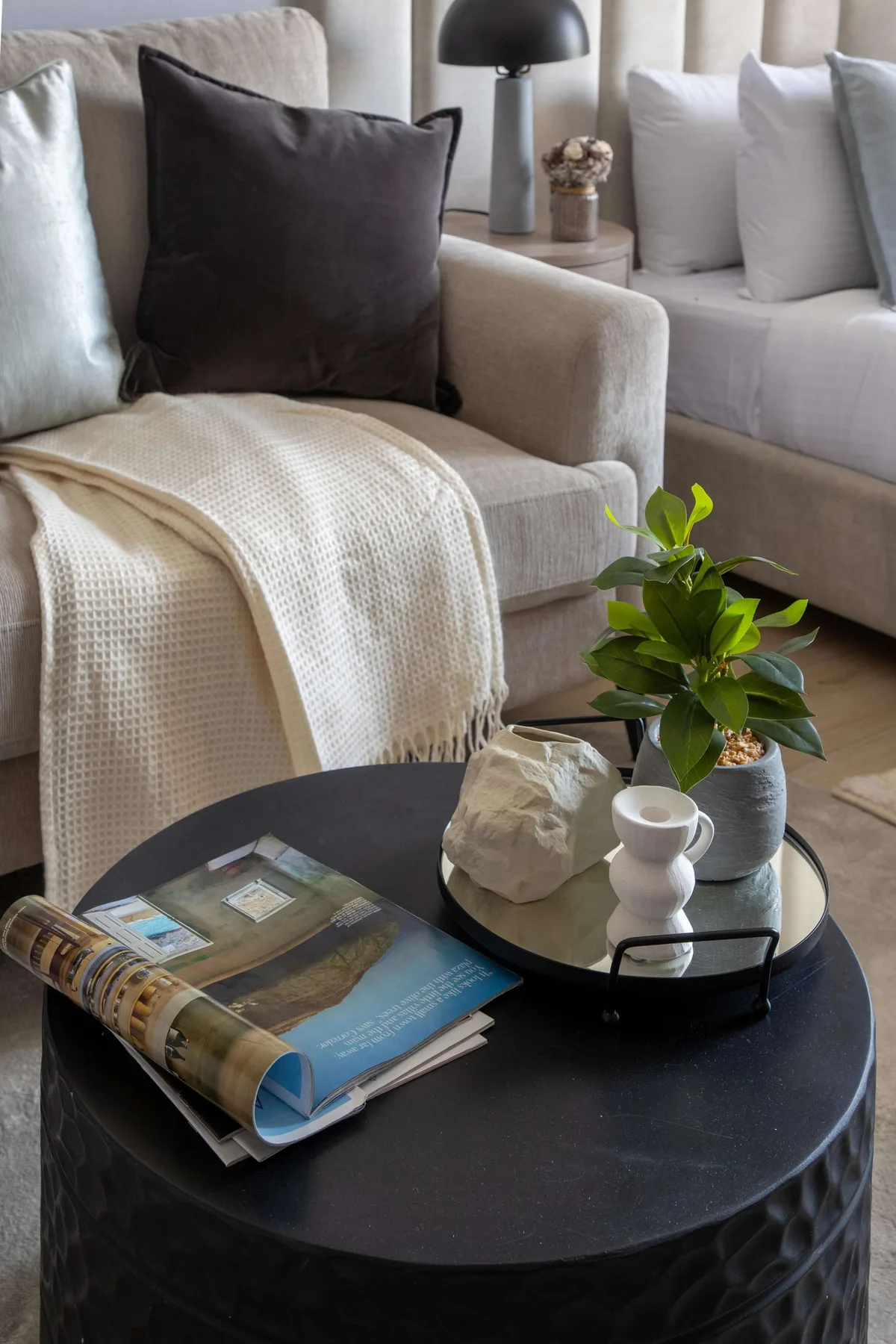 A living room seating area with a round coffee table and a small leafy plant.