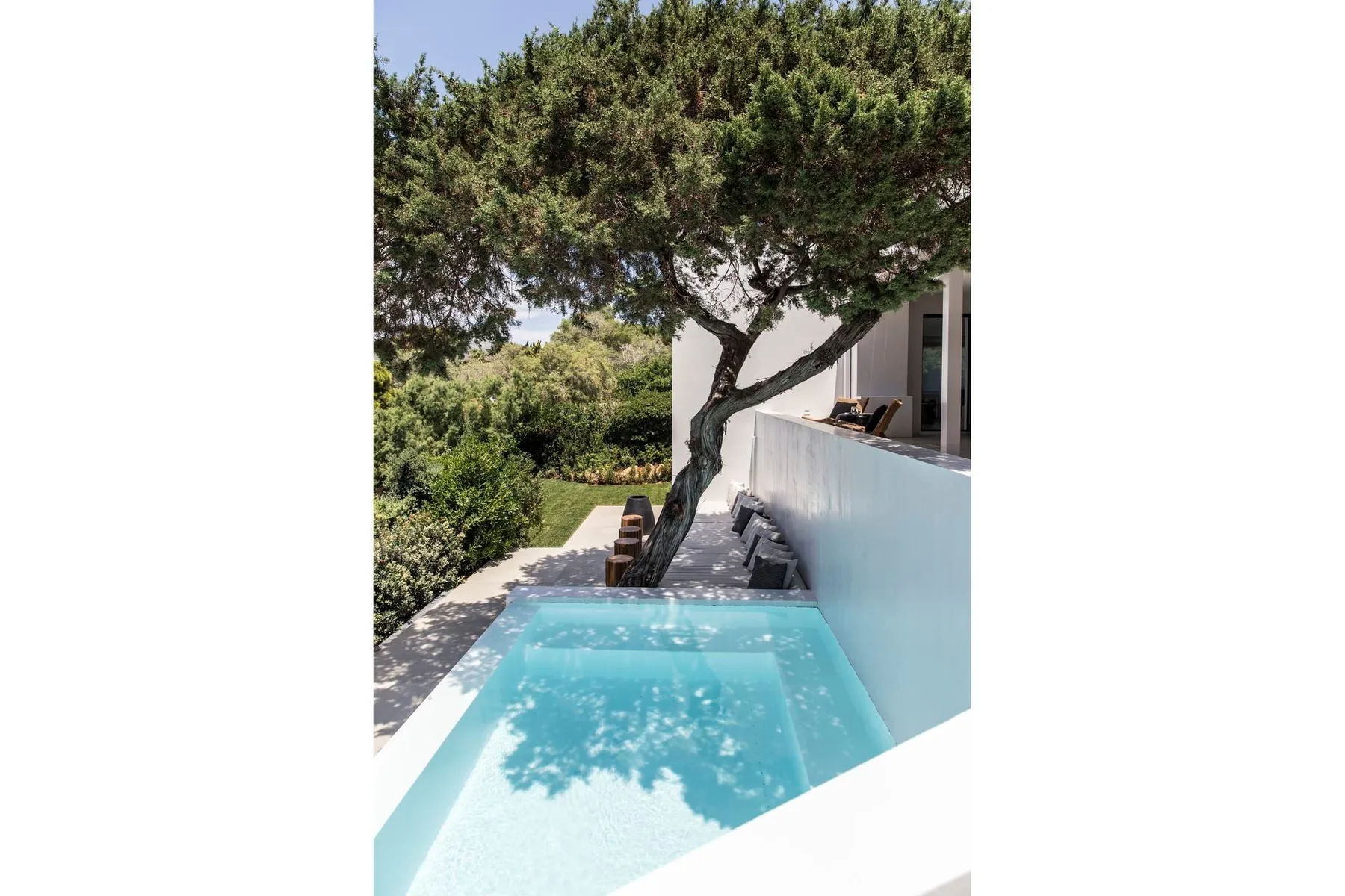 Una piscina al aire libre junto a un edificio blanco, a la sombra de un árbol.