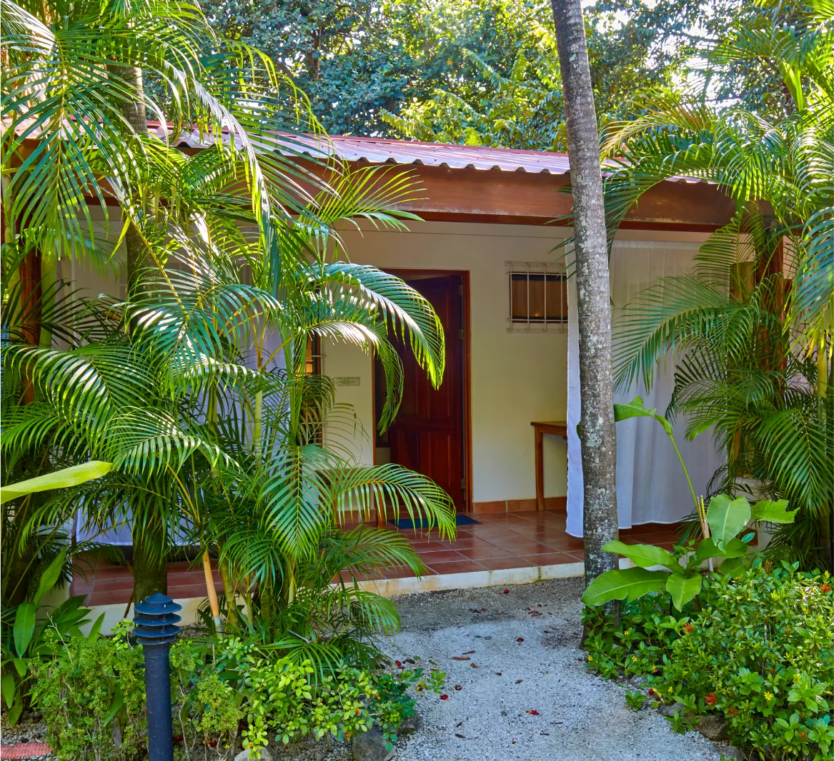 Un bungalow tropical rodeado de abundantes plantas y árboles, con un sendero de grava hasta la entrada.