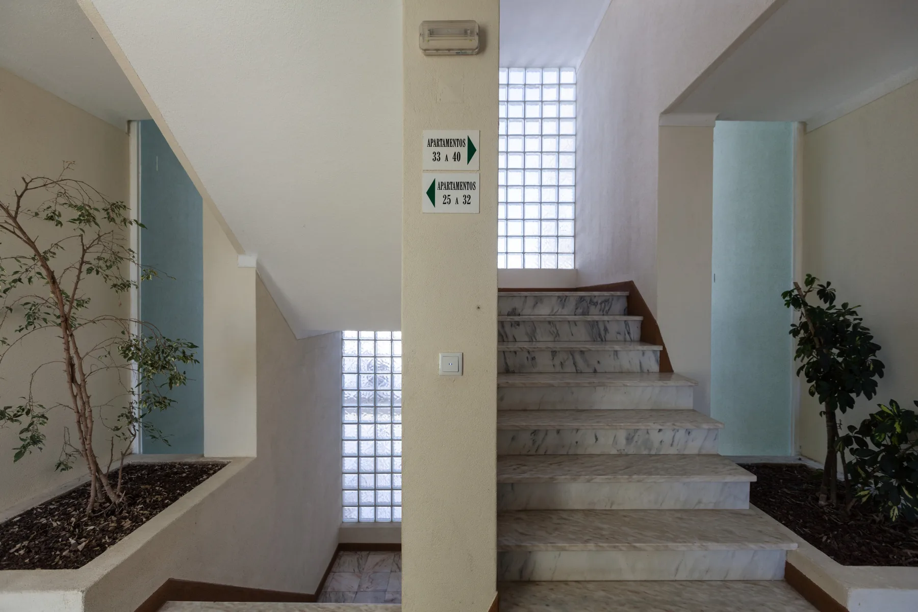 An indoor stairwell with stone steps, glass-block windows, and potted plants.
