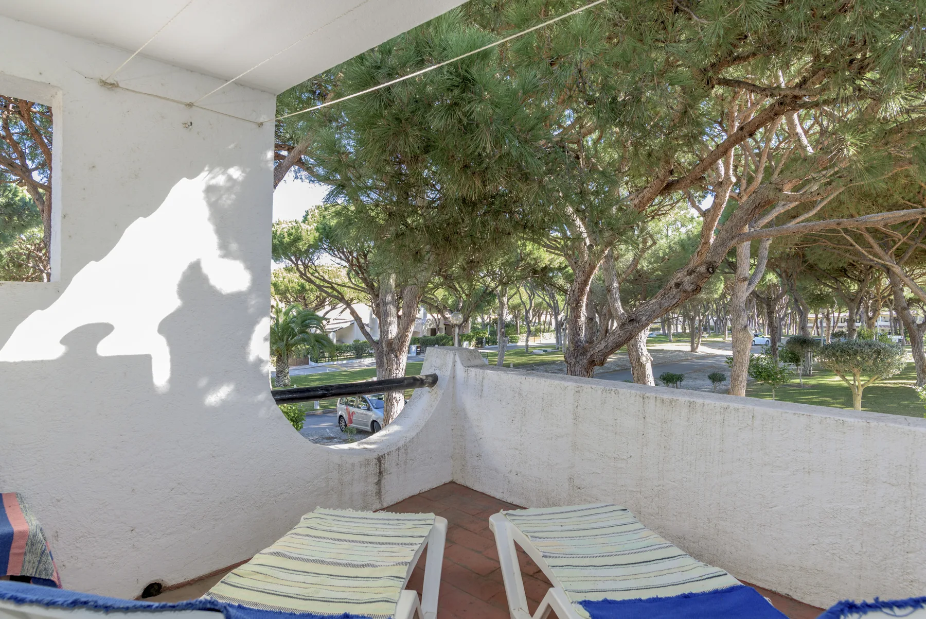 Un patio cubierto con tumbonas da a una zona exterior arbolada.