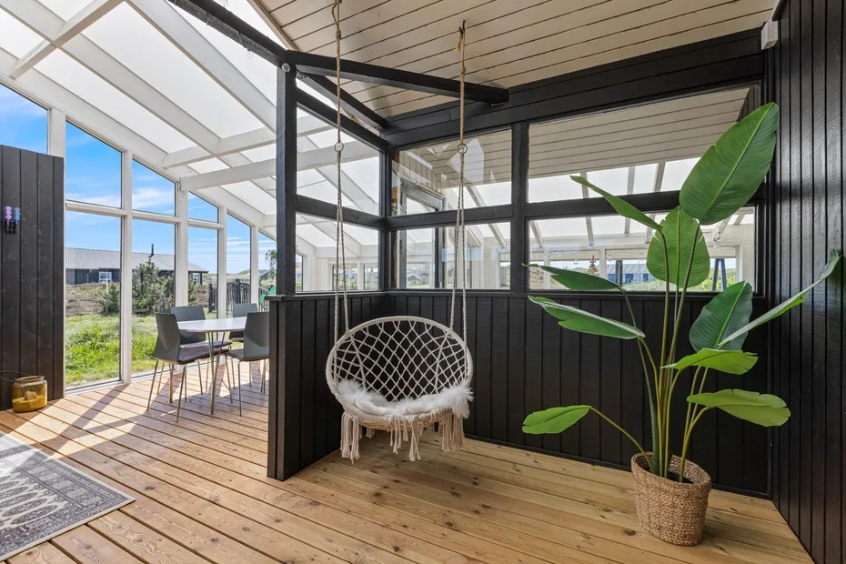 A bright enclosed porch with a hanging chair and large leafy plant.