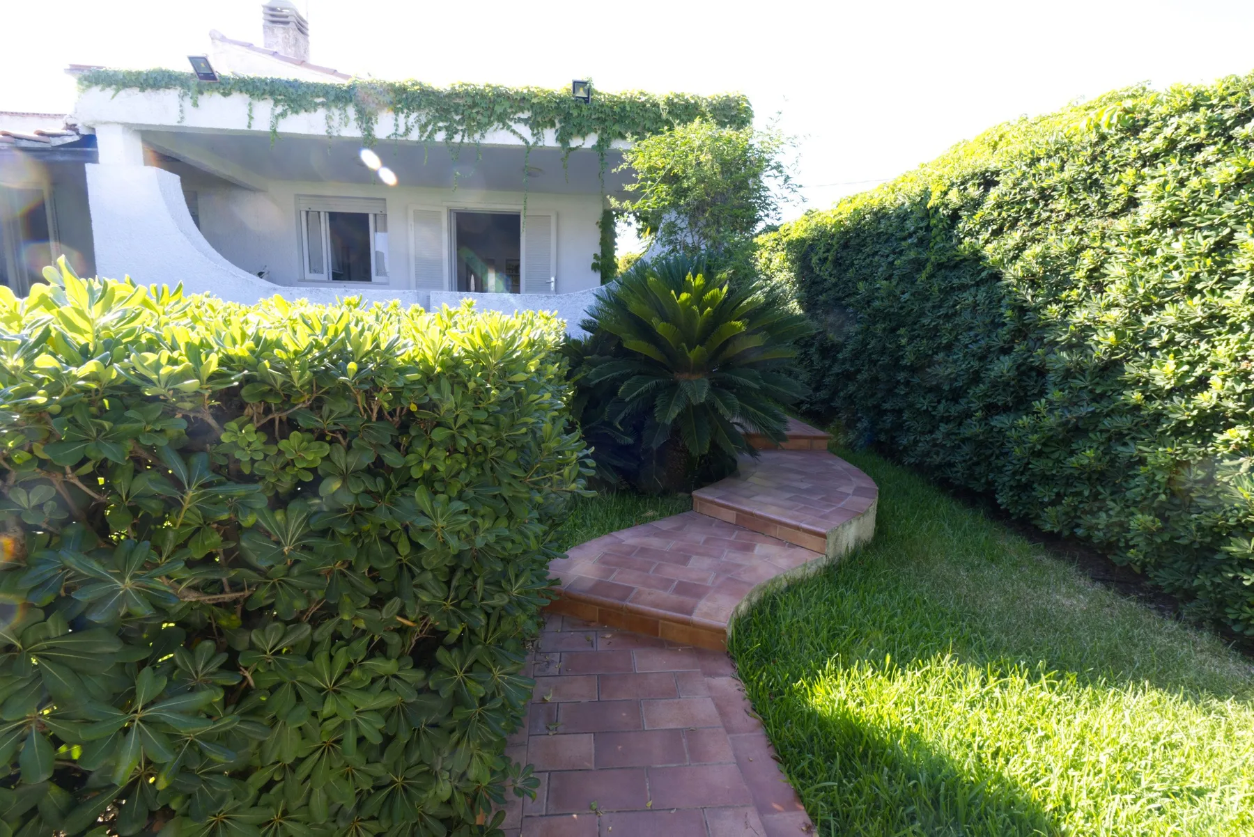 Un sendero de jardín con escalones de baldosas pasa entre setos junto a una casa.