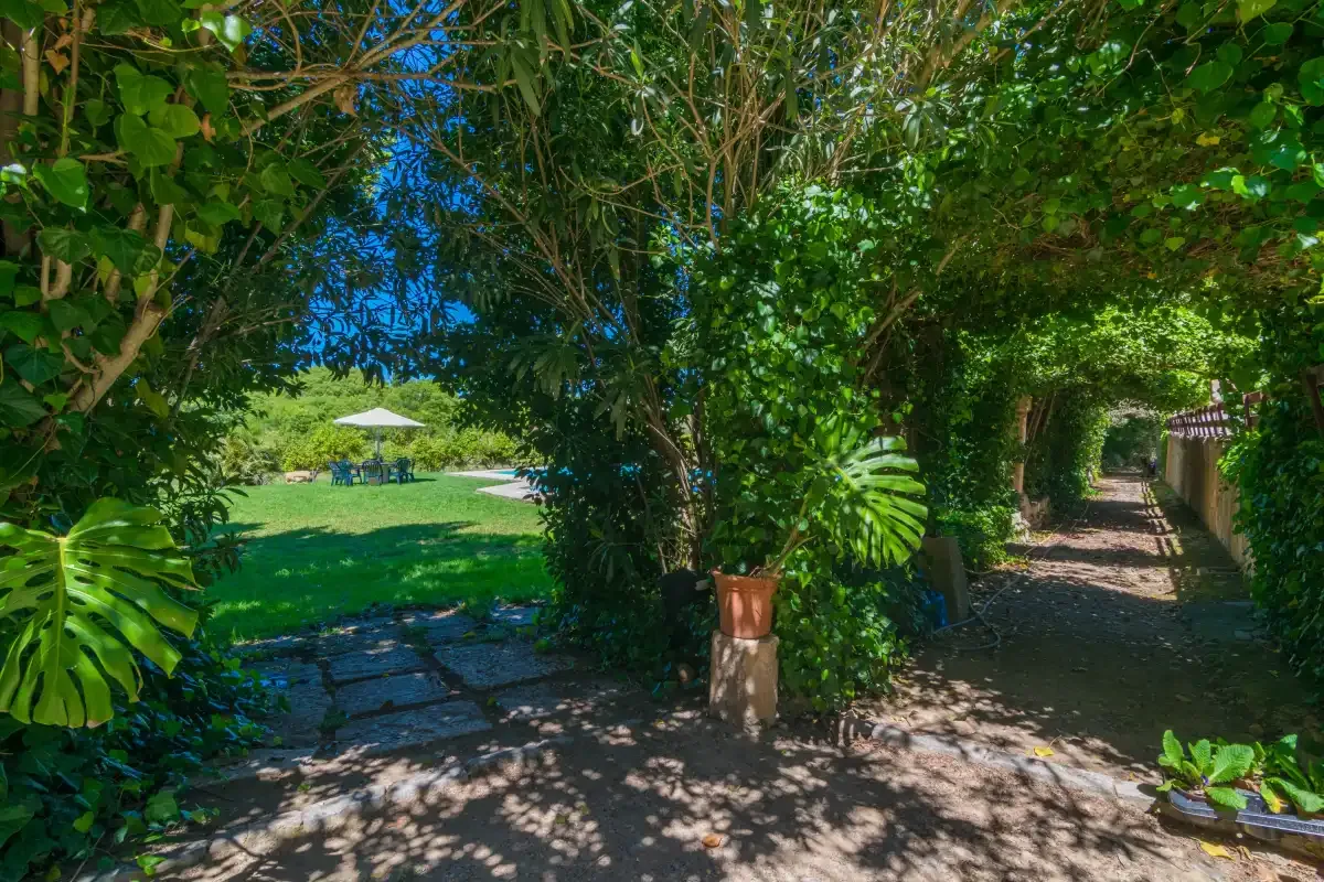 Un sendero entre vegetación pasa junto a un patio sombreado y conduce a un césped con una sombrilla.