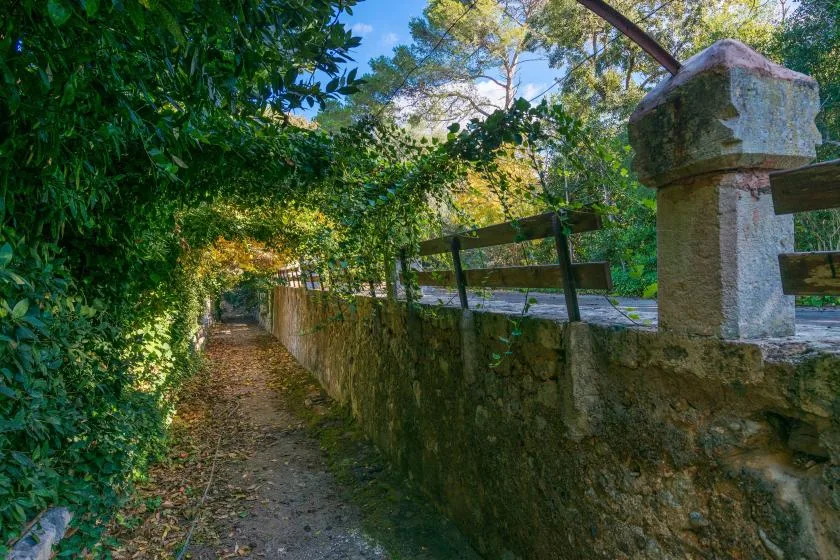 Un sendero estrecho al aire libre bordea un muro de piedra bajo árboles frondosos.