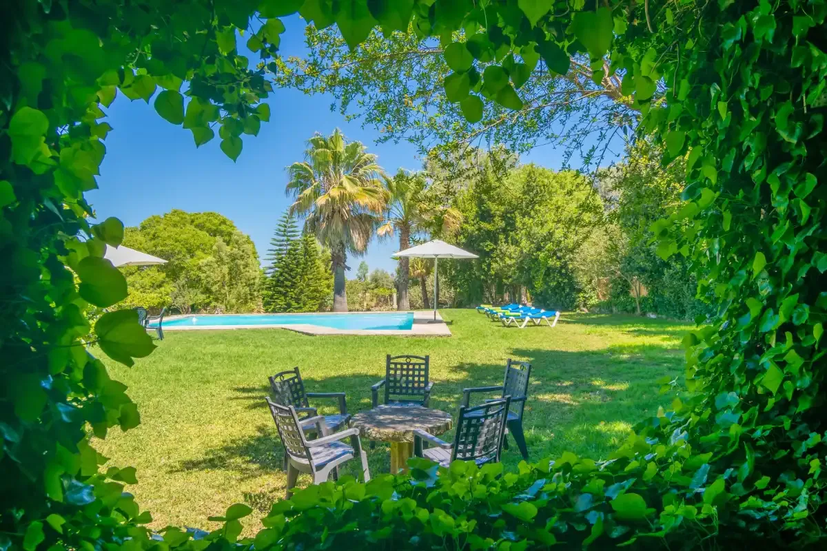 Una zona de estar en el jardín da a una piscina bajo enredaderas frondosas.