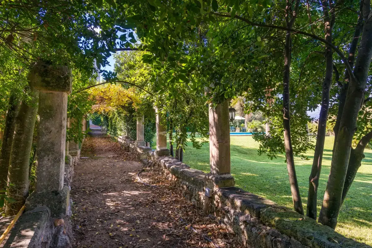Un sendero sombreado del jardín bordea un césped bajo árboles frondosos.