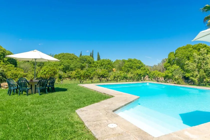 An outdoor swimming pool beside a grassy lawn with shaded seating.