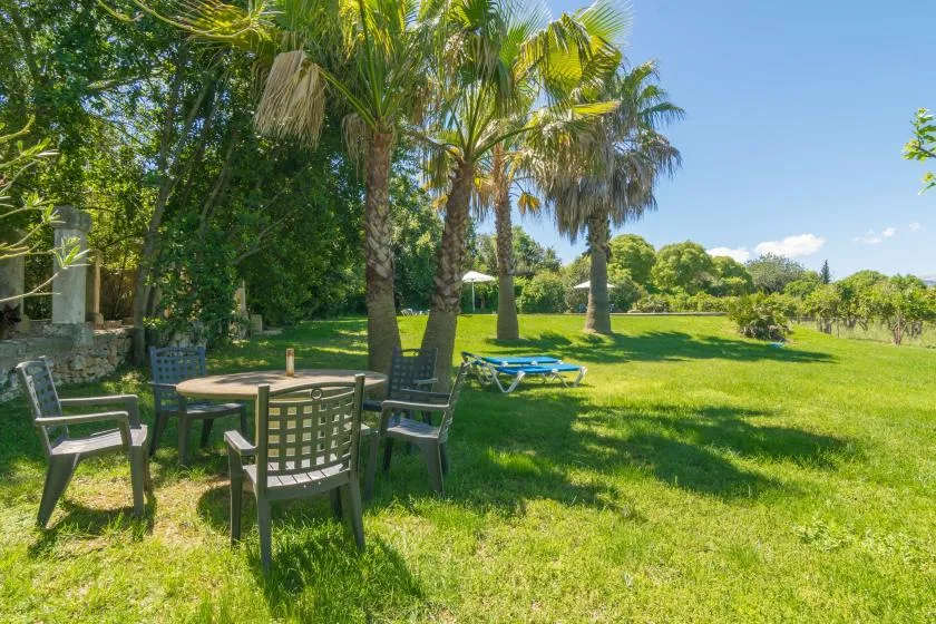 Una zona de asientos en el jardín bajo palmeras, junto a un amplio césped.