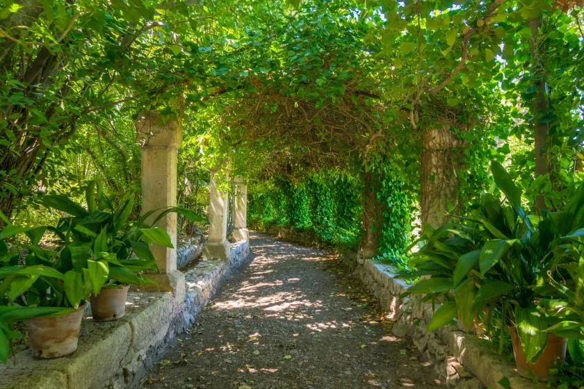 Un sendero de jardín pasa bajo un dosel frondoso, bordeado de vegetación y plantas en macetas.